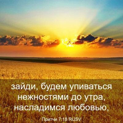 Picture 03 - Притчи 7:18 RUSV - зайди, будем упиваться - Bible Verse Picture
