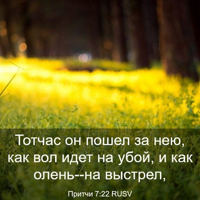 Picture 03 - Притчи 7:22 RUSV - Тотчас он пошел за нею, как - Bible Verse Picture