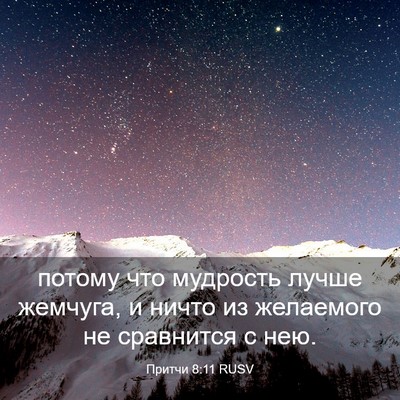 Picture 03 - Притчи 8:11 RUSV - потому что мудрость лучше - Bible Verse Picture