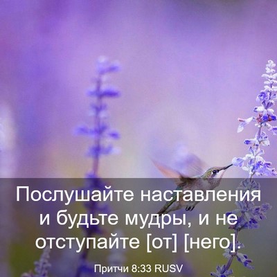 Picture 03 - Притчи 8:33 RUSV - Послушайте наставления и - Bible Verse Picture