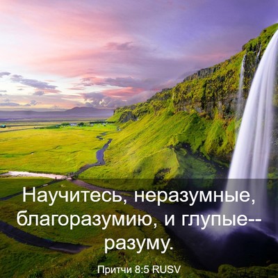Picture 03 - Притчи 8:5 RUSV - Научитесь, неразумные, - Bible Verse Picture