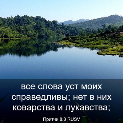 Picture 03 - Притчи 8:8 RUSV - все слова уст моих - Bible Verse Picture