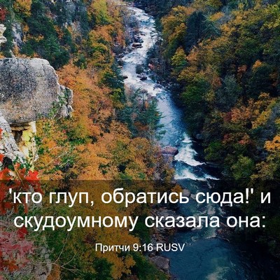 Picture 03 - Притчи 9:16 RUSV - 'кто глуп, обратись сюда!' и - Bible Verse Picture