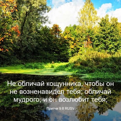 Picture 03 - Притчи 9:8 RUSV - Не обличай кощунника, - Bible Verse Picture