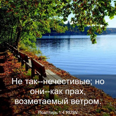 Picture 03 - Псалтирь 1:4 RUSV - Не так--нечестивые; но - Bible Verse Picture
