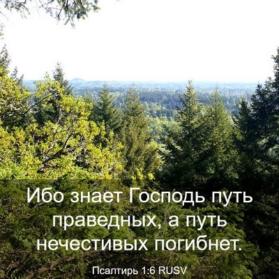 Picture 03 - Псалтирь 1:6 RUSV - Ибо знает Господь путь - Bible Verse Picture