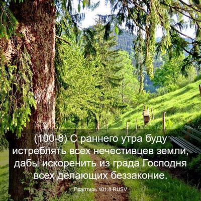 Picture 03 - Псалтирь 101:8 RUSV - (100-8) С раннего утра буду - Bible Verse Picture