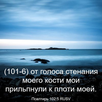 Picture 03 - Псалтирь 102:5 RUSV - (101-6) от голоса стенания - Bible Verse Picture