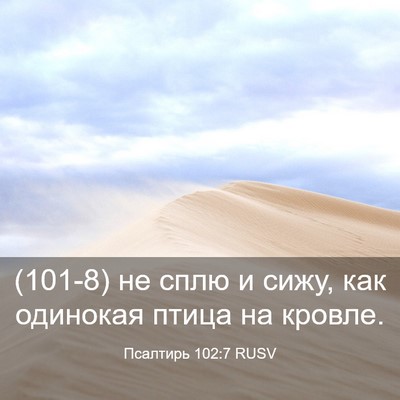 Picture 03 - Псалтирь 102:7 RUSV - (101-8) не сплю и сижу, как - Bible Verse Picture