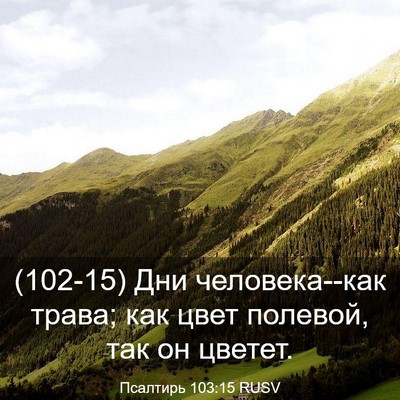 Picture 03 - Псалтирь 103:15 RUSV - (102-15) Дни человека--как - Bible Verse Picture