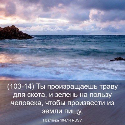 Picture 03 - Псалтирь 104:14 RUSV - (103-14) Ты произращаешь траву - Bible Verse Picture