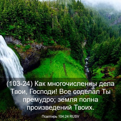 Picture 03 - Псалтирь 104:24 RUSV - (103-24) Как многочисленны - Bible Verse Picture