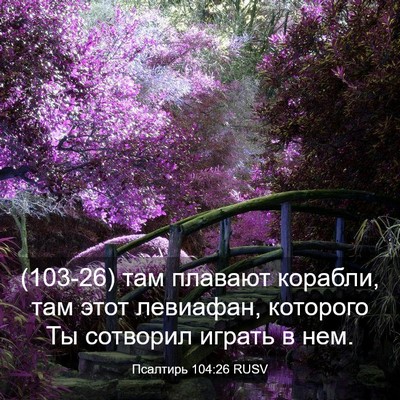 Picture 03 - Псалтирь 104:26 RUSV - (103-26) там плавают корабли, - Bible Verse Picture