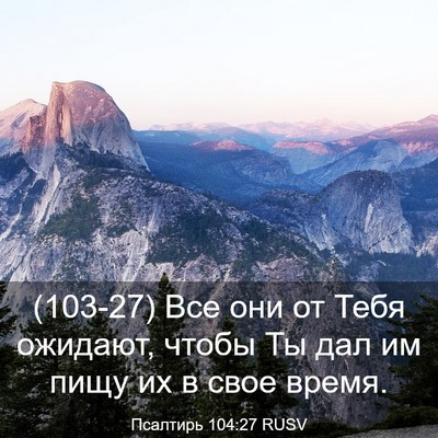 Picture 03 - Псалтирь 104:27 RUSV - (103-27) Все они от Тебя - Bible Verse Picture