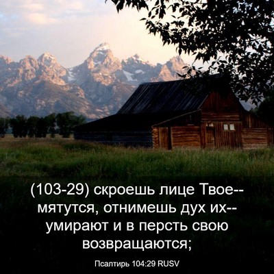 Picture 03 - Псалтирь 104:29 RUSV - (103-29) скроешь лице - Bible Verse Picture