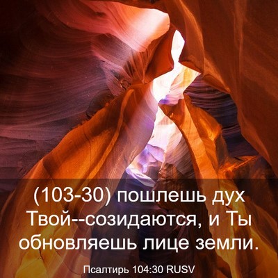 Picture 03 - Псалтирь 104:30 RUSV - (103-30) пошлешь дух - Bible Verse Picture