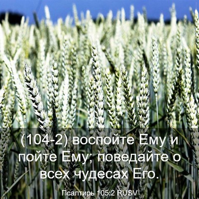 Picture 03 - Псалтирь 105:2 RUSV - (104-2) воспойте Ему и пойте - Bible Verse Picture