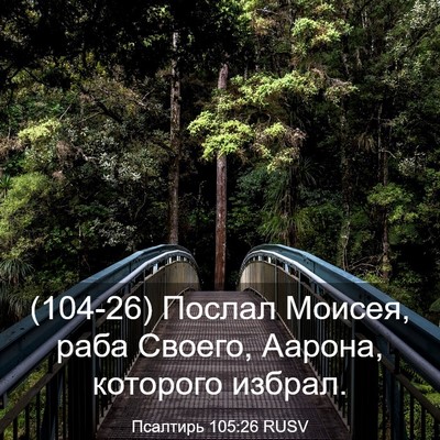 Picture 03 - Псалтирь 105:26 RUSV - (104-26) Послал Моисея, раба - Bible Verse Picture