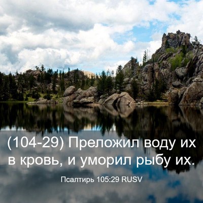 Picture 03 - Псалтирь 105:29 RUSV - (104-29) Преложил воду их в - Bible Verse Picture