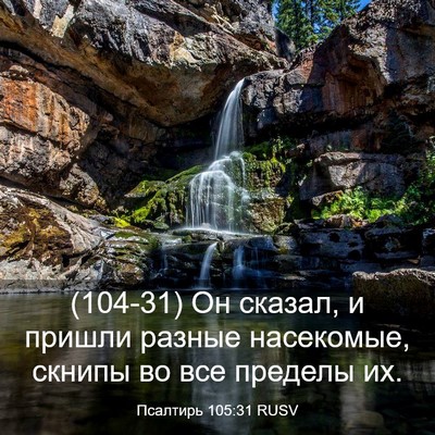 Picture 03 - Псалтирь 105:31 RUSV - (104-31) Он сказал, и пришли - Bible Verse Picture