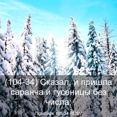 Picture 03 - Псалтирь 105:34 RUSV - (104-34) Сказал, и пришла - Bible Verse Picture