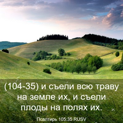 Picture 03 - Псалтирь 105:35 RUSV - (104-35) и съели всю траву на - Bible Verse Picture