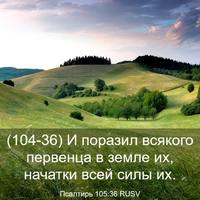 Picture 03 - Псалтирь 105:36 RUSV - (104-36) И поразил всякого - Bible Verse Picture