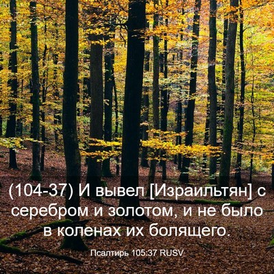 Picture 03 - Псалтирь 105:37 RUSV - (104-37) И вывел [Израильтян] с - Bible Verse Picture