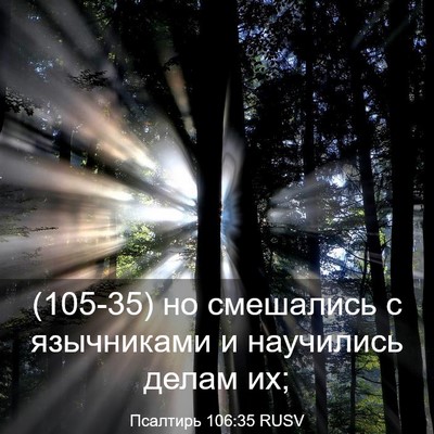 Picture 03 - Псалтирь 106:35 RUSV - (105-35) но смешались с - Bible Verse Picture