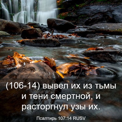 Picture 03 - Псалтирь 107:14 RUSV - (106-14) вывел их из тьмы и - Bible Verse Picture