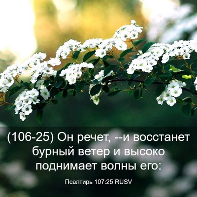Picture 03 - Псалтирь 107:25 RUSV - (106-25) Он речет, --и восстанет - Bible Verse Picture