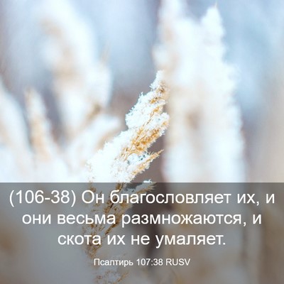 Picture 03 - Псалтирь 107:38 RUSV - (106-38) Он благословляет их, и - Bible Verse Picture
