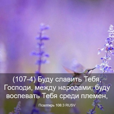 Picture 03 - Псалтирь 108:3 RUSV - (107-4) Буду славить Тебя, - Bible Verse Picture