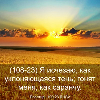 Picture 03 - Псалтирь 109:23 RUSV - (108-23) Я исчезаю, как - Bible Verse Picture