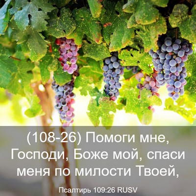 Picture 03 - Псалтирь 109:26 RUSV - (108-26) Помоги мне, Господи, - Bible Verse Picture