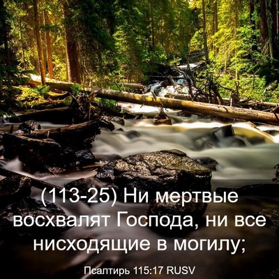 Picture 03 - Псалтирь 115:17 RUSV - (113-25) Ни мертвые восхвалят - Bible Verse Picture