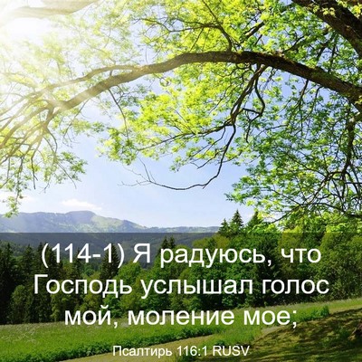 Picture 03 - Псалтирь 116:1 RUSV - (114-1) Я радуюсь, что Господь - Bible Verse Picture