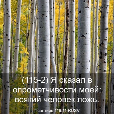 Picture 03 - Псалтирь 116:11 RUSV - (115-2) Я сказал в - Bible Verse Picture