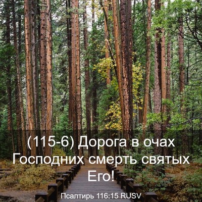 Picture 03 - Псалтирь 116:15 RUSV - (115-6) Дорога в очах - Bible Verse Picture