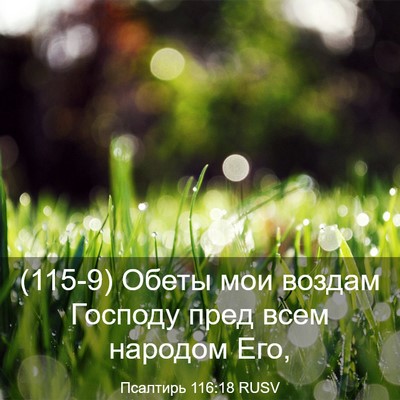 Picture 03 - Псалтирь 116:18 RUSV - (115-9) Обеты мои воздам - Bible Verse Picture