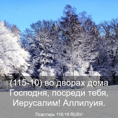 Picture 03 - Псалтирь 116:19 RUSV - (115-10) во дворах дома - Bible Verse Picture