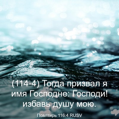 Picture 03 - Псалтирь 116:4 RUSV - (114-4) Тогда призвал я имя - Bible Verse Picture