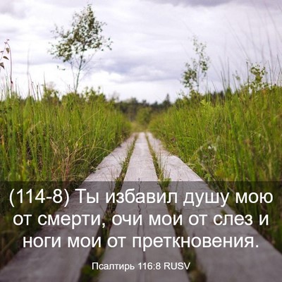Picture 03 - Псалтирь 116:8 RUSV - (114-8) Ты избавил душу мою от - Bible Verse Picture
