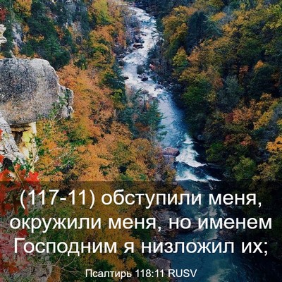 Picture 03 - Псалтирь 118:11 RUSV - (117-11) обступили меня, - Bible Verse Picture