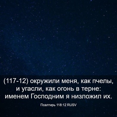 Picture 03 - Псалтирь 118:12 RUSV - (117-12) окружили меня, как - Bible Verse Picture