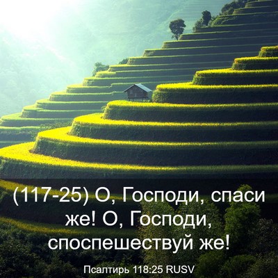 Picture 03 - Псалтирь 118:25 RUSV - (117-25) О, Господи, спаси же! О, - Bible Verse Picture