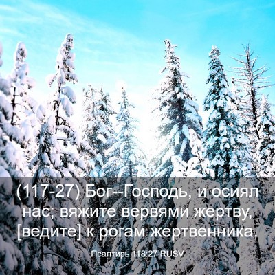 Picture 03 - Псалтирь 118:27 RUSV - (117-27) Бог--Господь, и осиял - Bible Verse Picture