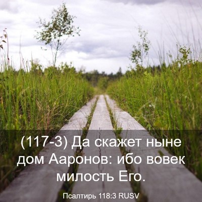 Picture 03 - Псалтирь 118:3 RUSV - (117-3) Да скажет ныне дом - Bible Verse Picture