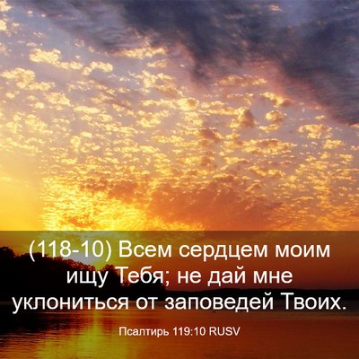 Picture 03 - Псалтирь 119:10 RUSV - (118-10) Всем сердцем моим ищу - Bible Verse Picture
