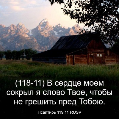 Picture 03 - Псалтирь 119:11 RUSV - (118-11) В сердце моем сокрыл я - Bible Verse Picture